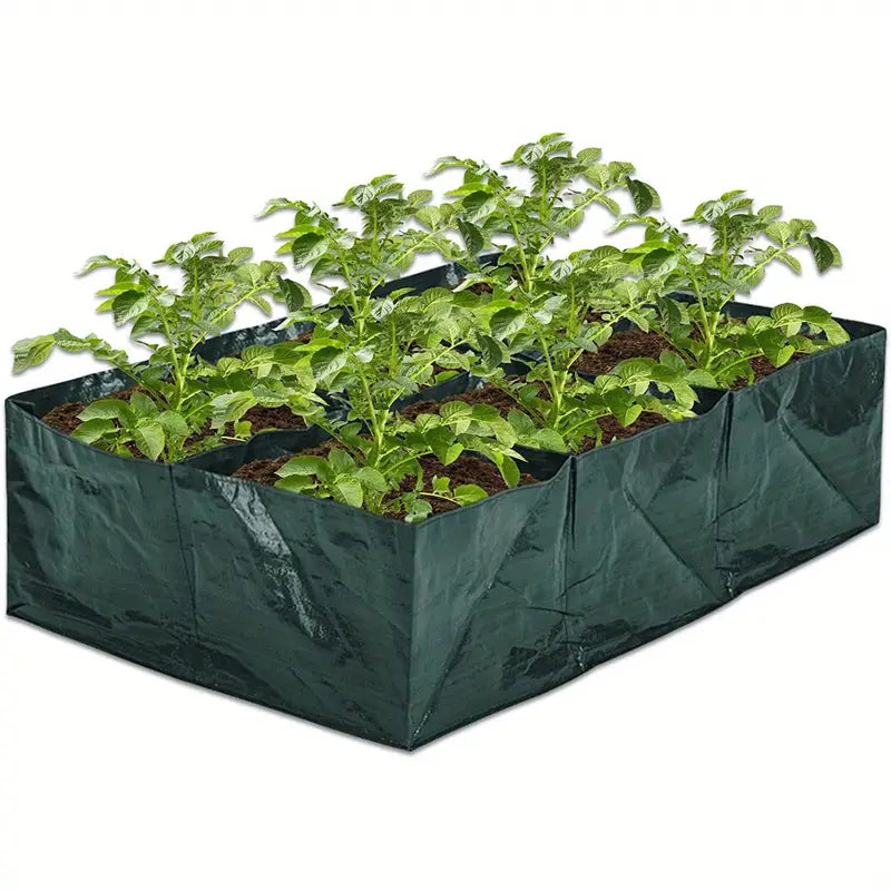 Organic Vegetable Garden in A Box DELUXE EDITION
